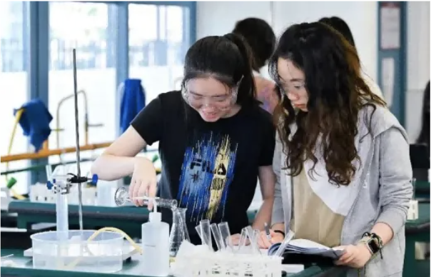 国际学校择校｜深圳国际交流书院（深国交）  深国交 深圳国际交流学院 第35张